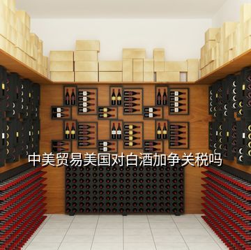 白酒出口美國(guó) 關(guān)稅計(jì)算與個(gè)人攜帶酒水入境繳稅指南